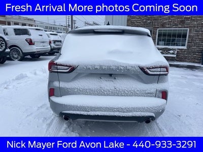 2023 Ford Escape ST-Line
