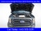 2023 Ford F-150 XL Rattler Package