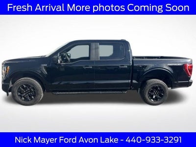2023 Ford F-150 XL Rattler Package