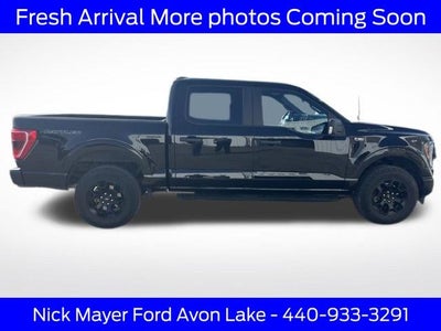 2023 Ford F-150 XL Rattler Package