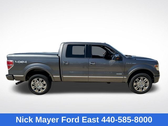 2013 Ford F-150 Platinum