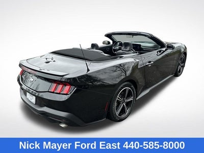 2025 Ford Mustang EcoBoost Premium