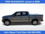 2013 Ford F-150 Platinum
