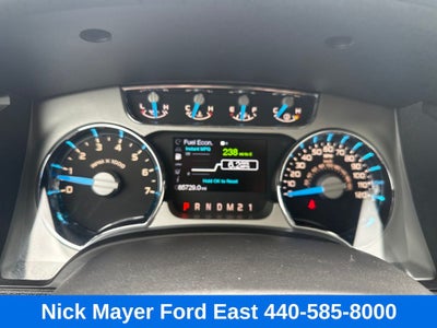 2013 Ford F-150 Platinum