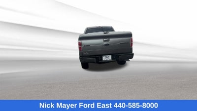 2013 Ford F-150 Platinum